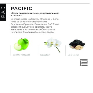 Парфюм за кола ANNATWELVE Amber car - Pacific