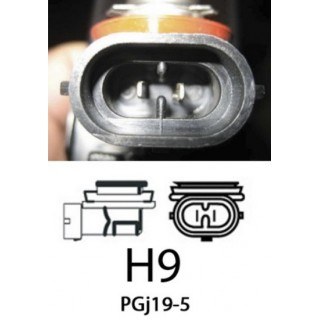Диодна крушка (LED крушка) 12V, H9, PGJ19-5, блистер 2бр.